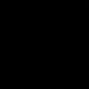 Meet your Posher, Triniti